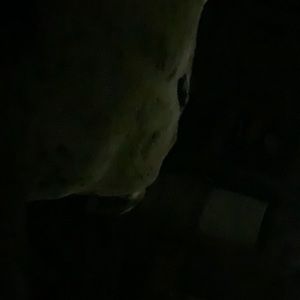 Meet your Posher, Linda